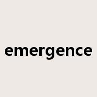 emergence是什么意思