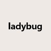 ladybug是什么意思