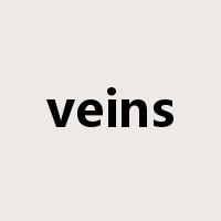 veins是什么意思