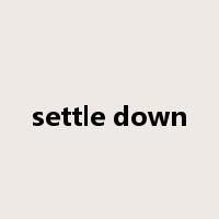 settle down是什么意思