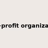 non-profit organization是什么意思