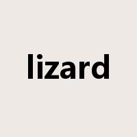 lizard