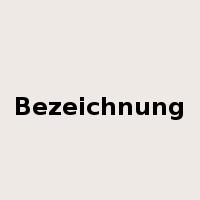 Bezeichnung是什么意思