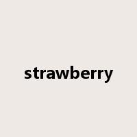 strawberry是什么意思