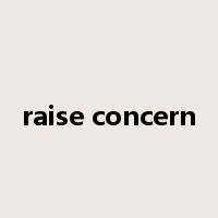 raise concern是什么意思