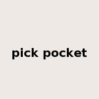 pick pocket是什么意思