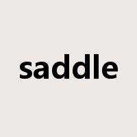 saddle是什么意思