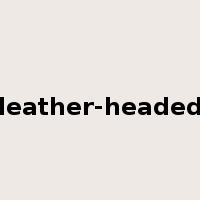 leather-headed是什么意思