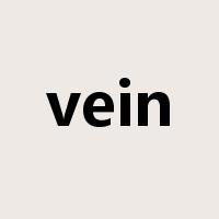 vein是什么意思