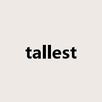 tallest是什么意思