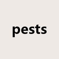 pests是什么意思