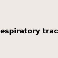 respiratory tract是什么意思