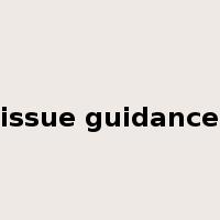 issue guidance是什么意思