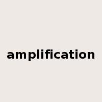 amplification是什么意思