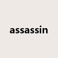 assassin是什么意思