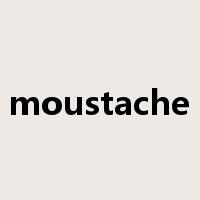 moustache是什么意思