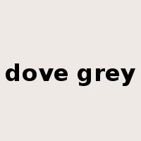 dove grey是什么意思