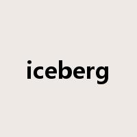 iceberg是什么意思