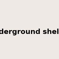 underground shelter是什么意思