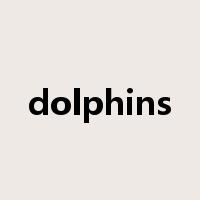 dolphins