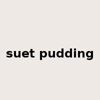 suet pudding是什么意思