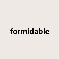 formidable是什么意思