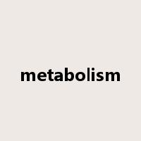 metabolism是什么意思