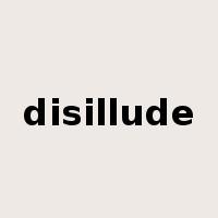 disillude是什么意思