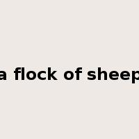 a flock of sheep是什么意思