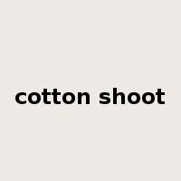 cotton shoot是什么意思