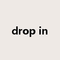 drop in是什么意思