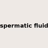 spermatic fluid是什么意思