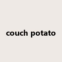 couch potato是什么意思