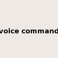 voice command是什么意思