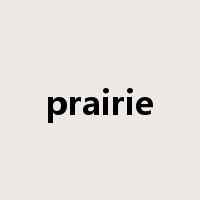 prairie是什么意思