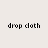 drop cloth是什么意思