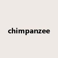 chimpanzee是什么意思