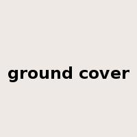 ground cover是什么意思