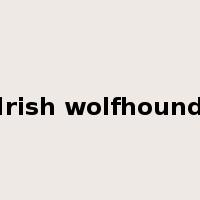 Irish wolfhound是什么意思