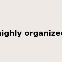 highly organized是什么意思