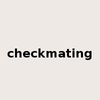 checkmating是什么意思