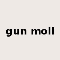 gun moll是什么意思