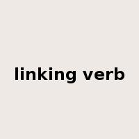 linking verb是什么意思