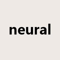 neural是什么意思