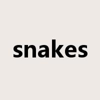 snakes是什么意思
