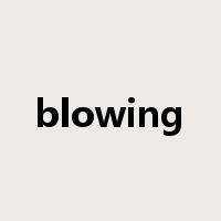 blowing是什么意思