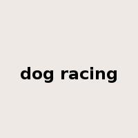 dog racing是什么意思