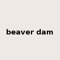 beaver dam是什么意思