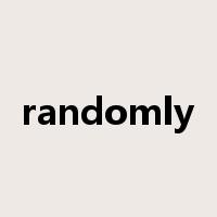 randomly是什么意思