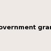 government grant是什么意思